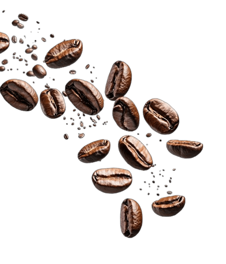 Coffee bean