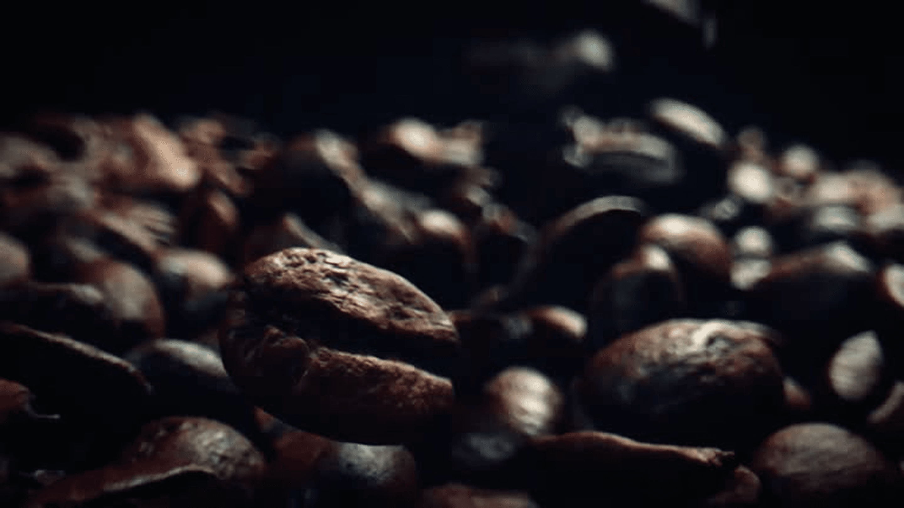 Coffee beans